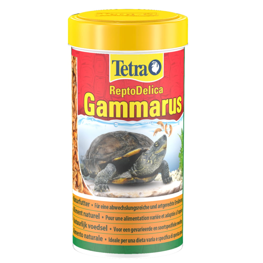 kiełż suszony2.JPG